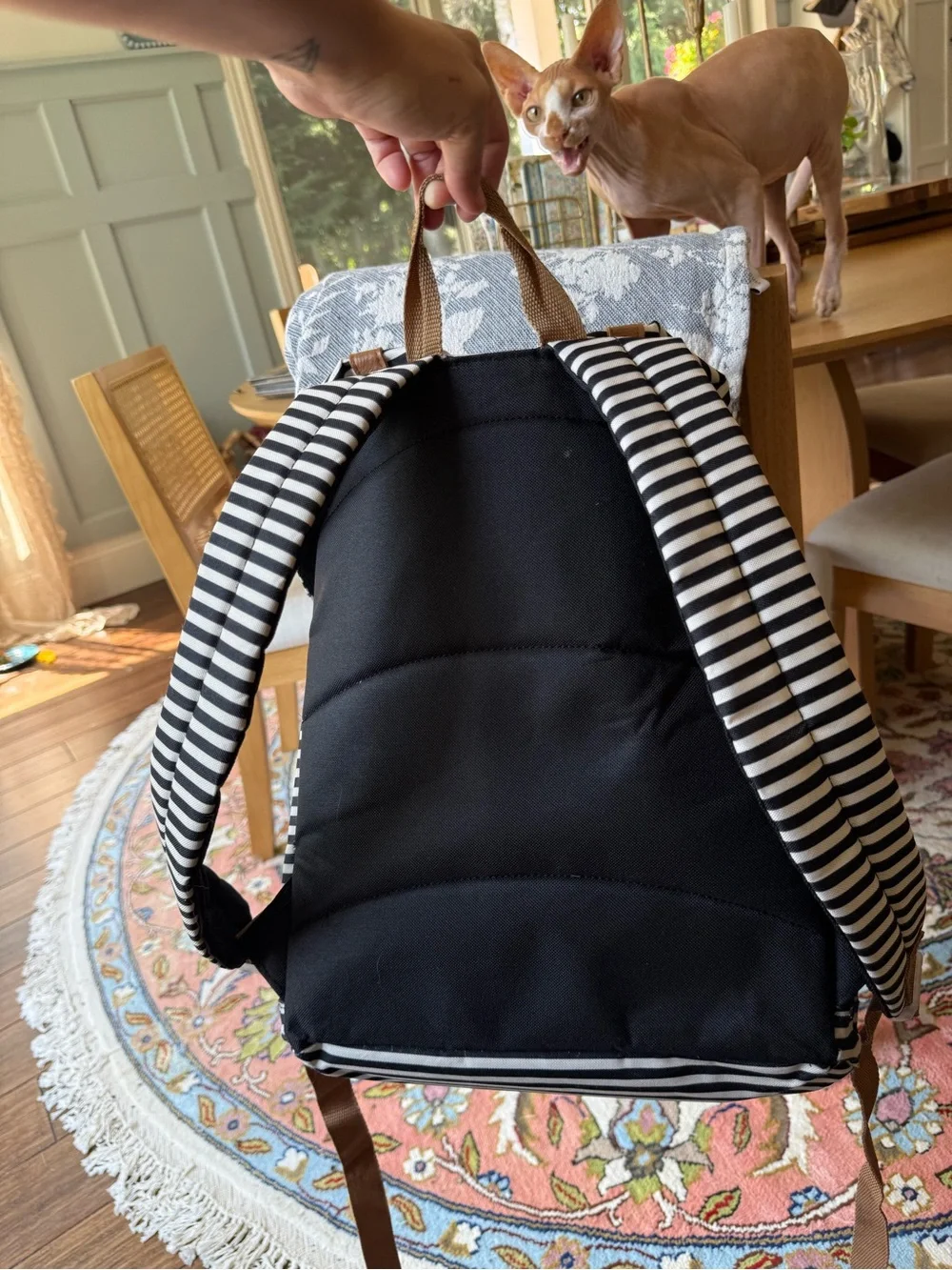 Black & White Striped Canvas Drawstring Flap Backpack Faux Leather Trim
